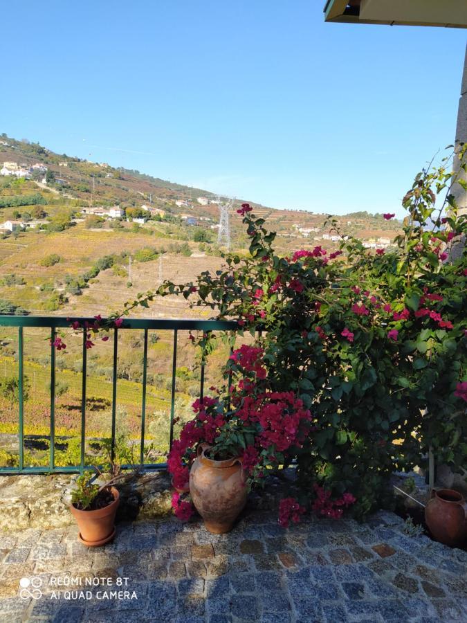 Quinta De Penelas Lamego Exterior photo